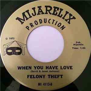 Felony Theft - When You Have Love / Run For Cover album flac