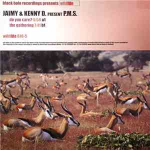 Jaimy & Kenny D. Present P.M.S. - Do You Care? / The Gathering album flac