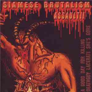 Lacerate / Deathguy / A Good Day For Killing / She's Gore - Siamese Brutalism Assault!! album flac