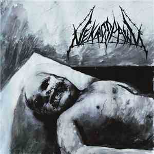 Nekrospawn - Halo Of Terror album flac