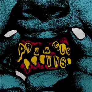 Pauwels / Uns - U.P. album flac