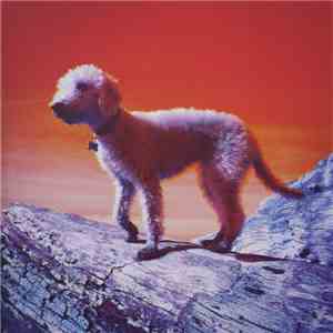 Professor Yaffle - Cosmic Lullabies album flac