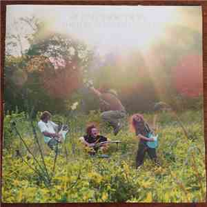 Silent Friction - The Thought That Counts album flac