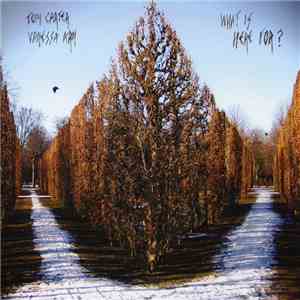 Tom Carter & Vanessa Arn - What Is Here For? album flac