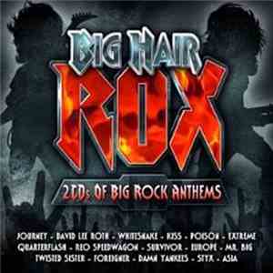 Various - Big Hair Rox album flac