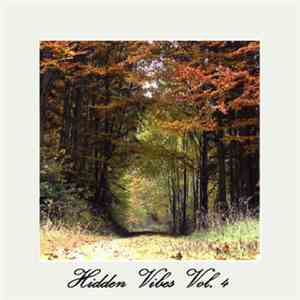 Various - Hidden Vibes Vol. 4 album flac