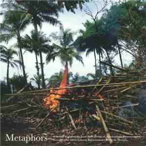Various - Metaphors: Selected Soundworks From The Cinema Of Apichatpong Weerasethakul album flac