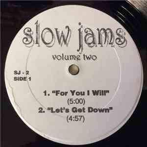 Various - Slow Jams Volume Two album flac