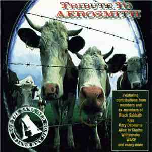 Various - Tribute To Aerosmith (Not The Same Old Song And Dance) album flac